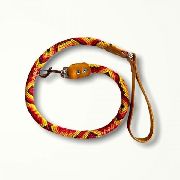 Correas Cilíndricas - Imagen 2