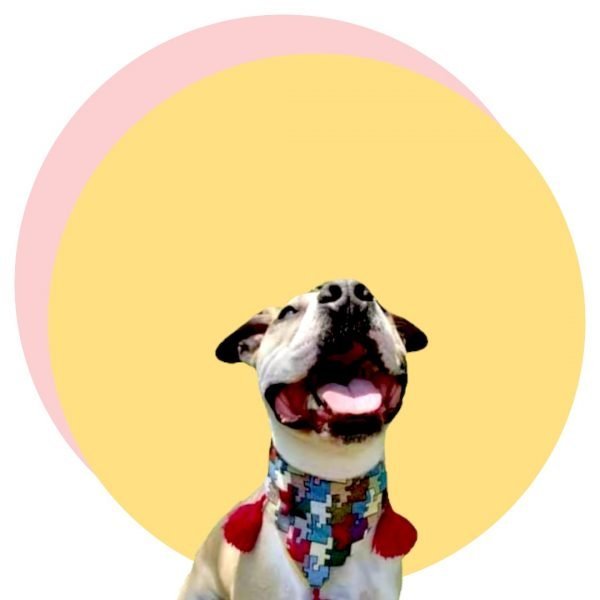 Bandanas - Imagen 4
